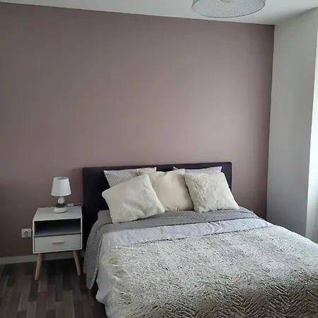 Le Bel'Air Appartement Chaleureux Et Calme Oyonnax Exterior foto